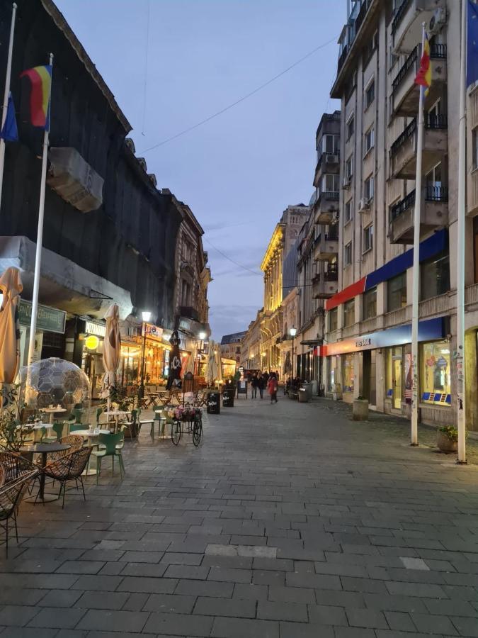 Color Ap Calea Victoriei 12C Apartment Букурещ Екстериор снимка
